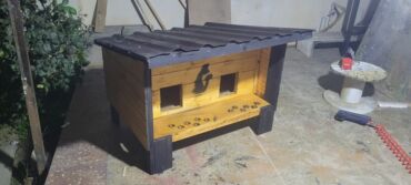 Yuvalar: It və pişik yuvaları — 3