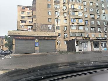 bileceri: 40 sot, Bələdiyyə — 5