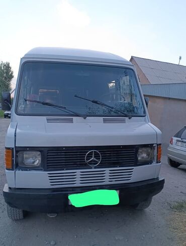 сапок грузопассажирский: Mercedes-Benz 250: 1992 г., 3 л, Механика, Дизель, Бус