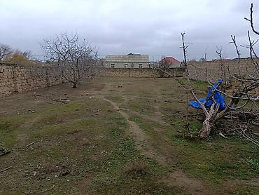 Torpaq sahələrinin satışı: 7 sot, Tikinti, Kupça (Çıxarış) — 2