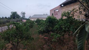 Torpaq sahələrinin satışı: 25 sot, Tikinti, Mülkiyyətçi, Bələdiyyə -da lalafo.az — 5 Torpaq sahələrinin satışı: 25 sot, Tikinti, Mülkiyyətçi, Bələdiyyə — 5