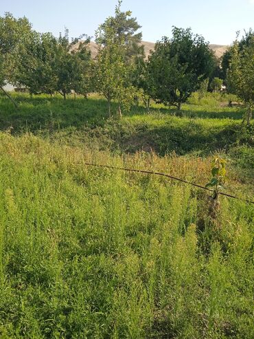 Продажа участков: 20 соток, Для сельского хозяйства — 10