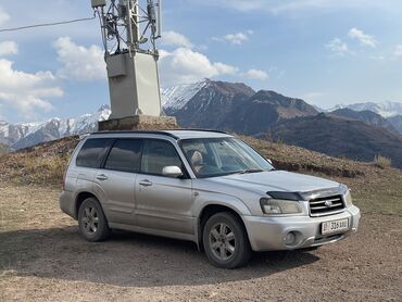 бензанасос форестер: Subaru Forester: 2003 г., 2 л, Автомат, Бензин, Кроссовер