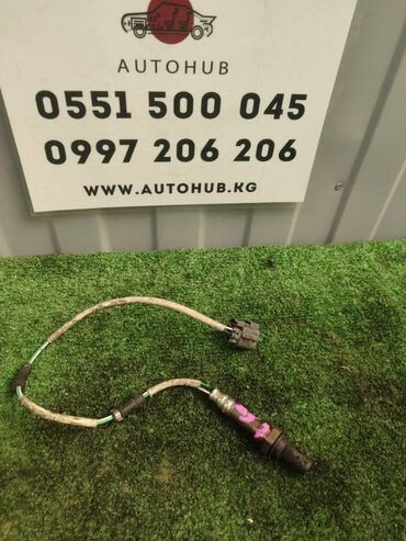 лямбда зонд нексия 16 кл: Лямбдазонд Toyota Raum EXZ10 5E-FE 2001 (б/у)