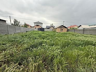Жер тилкелери: 6 соток Газ, Электр энергиясы, Суу — 1