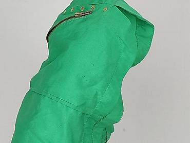 lidl pants: Denim Co, Szorty damskie, rozmiar L — 6
