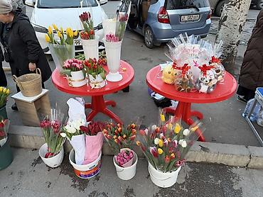 Букеты из живых цветов: Тюльпаны – свежие срезанные цветы и готовые букеты - Разнообразие — 1