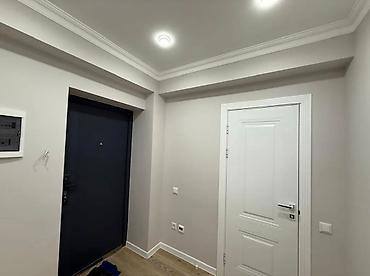 46: 1 комната, 46 м², Ак-Орго ж/м Элитка, 6 этаж, Евроремонт — 10