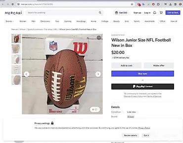 Dečije sportske igračke: Wilson NFL Mini – Bronze Series američka fudbalska lopta - Brend — 9