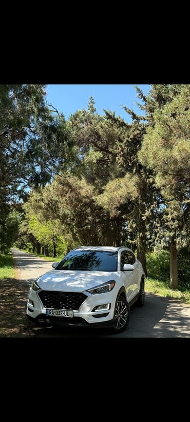 шины r15c: Hyundai Tucson: 2019 г., 2.4 л, Автоматические, Бензин, Кроссовер