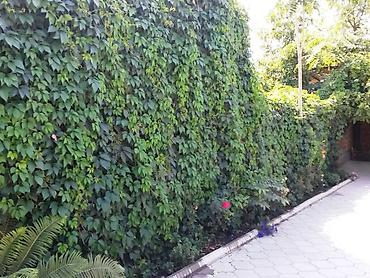 Продажа домов: Дом, 100 м², 4 комнаты, Агентство недвижимости, Евроремонт — 7