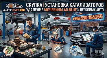 газоанализатор: AUTOCAT PRO — профессиональные услуги по катализаторам и системе — 1
