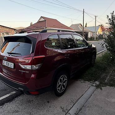 Subaru: Subaru Forester: 2021 г., 2.5 л, Вариатор, Бензин, Кроссовер — 3