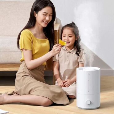 Отпариватели: Увлажнитель воздуха для дома Xiaomi Mijia Humidifier 2 CN (MJJSQ06DY)