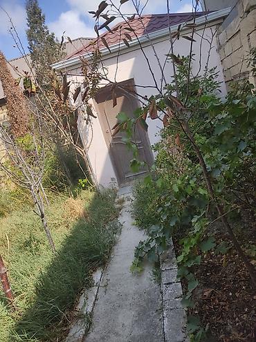 Torpaq sahələrinin satışı: Tikinti, Kupça (Çıxarış) -da lalafo.az — 21 Torpaq sahələrinin satışı: Tikinti, Kupça (Çıxarış) — 21