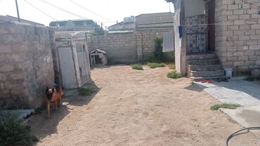 Bağ evlərinin satışı: Bakı, Buzovna, 100 kv. m, 4 otaqlı, Hovuzsuz, Artezian quyusu, İnternet, Qaz -da lalafo.az — 10 Bağ evlərinin satışı: Bakı, Buzovna, 100 kv. m, 4 otaqlı, Hovuzsuz, Artezian quyusu, İnternet, Qaz — 10