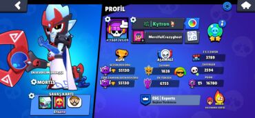 qaşıq desti: Brawl Stars hesabı – yüksək göstəricilər və zəngin kolleksiya Profil