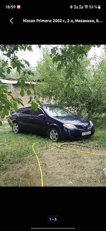 сигареты oris купить: Nissan Primera: 2002 г., 2 л, Механика, Газ, Хэтчбэк — 1