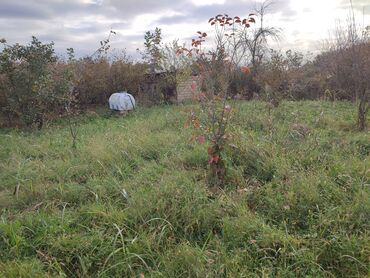 Torpaq sahələrinin satışı: Yalama kənd .məktəbin yani. parkin yani. su .işig .gaz gapidadir -da lalafo.az — 9 Torpaq sahələrinin satışı: Yalama kənd .məktəbin yani. parkin yani. su .işig .gaz gapidadir — 9