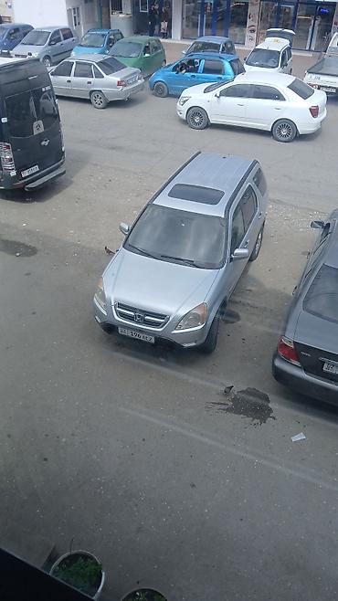 dodge ram 3.5: Honda CR-V: 2003 г., Автомат, Кроссовер — 3