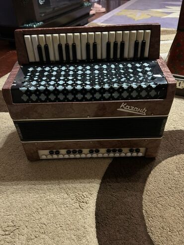 Akkordeonlar: Akustik Akkordeon — 1