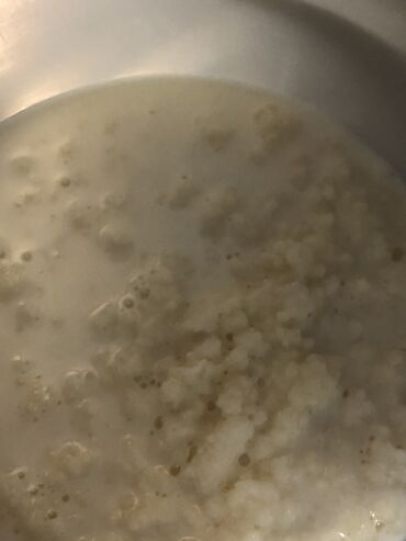 Mlečni proizvodi, jaja: Prodajem gljive za spravljanje tibetanskog kefira. Količina je — 13