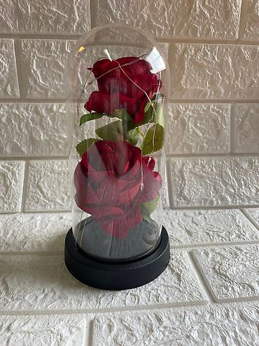 Praznična dekoracija: Večna ruža u staklenom zvonu sa led lampicom 🌹✨ čarobna ruža u — 5
