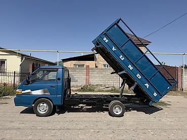 водный катер: Легкий грузовик, Hyundai, Стандарт, 3 т, Б/у — 7
