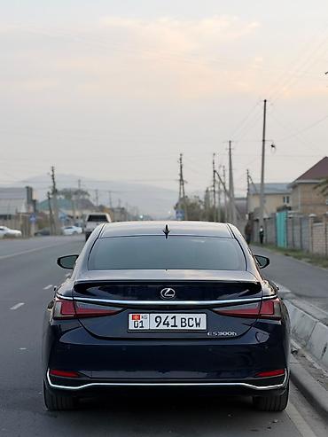 lexus es 330: Lexus ES: 2019 г., 2.5 л, Автомат, Гибрид, Седан — 4