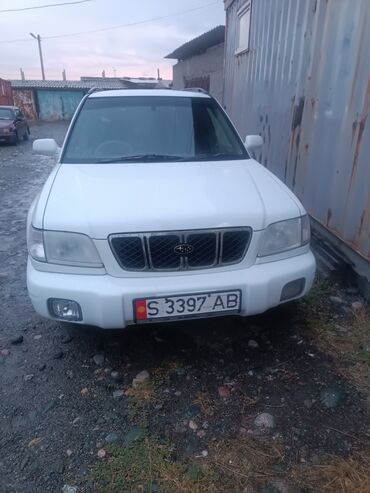 дополнительное освещение на авто: Subaru Forester: 2001 г., Кроссовер