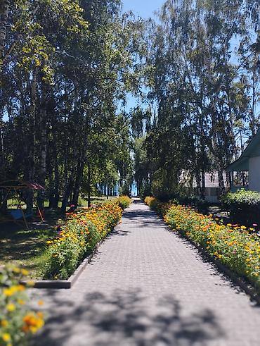 Иссык-Куль 2026: Номер, НЕПТУН Детская площадка, Парковка, стоянка, Охраняемая территория — 15