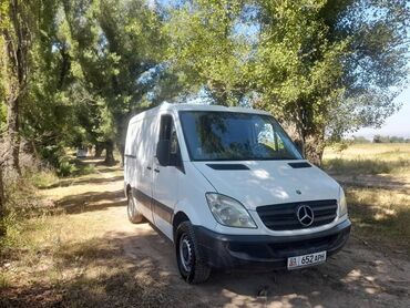 спринтер дельфин: Mercedes-Benz Sprinter: 2006 г., 2.2 л, Механика, Дизель, Бус