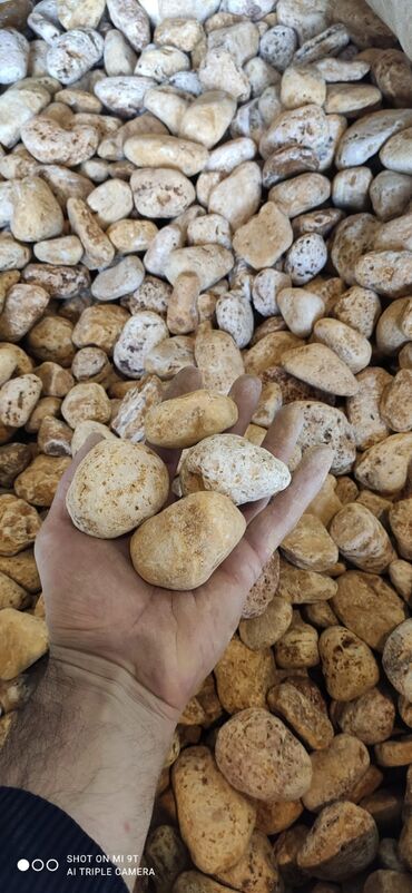 Dekorativ daşlar: Tam təbii Dekorativ ağ daşlar. Ağ və müxtəlif rənglərdə mövcuddur -da lalafo.az — 12 Dekorativ daşlar: Tam təbii Dekorativ ağ daşlar. Ağ və müxtəlif rənglərdə mövcuddur — 12