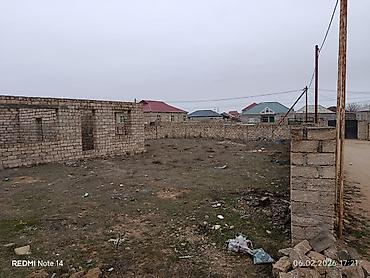 berde: Tikinti — 6