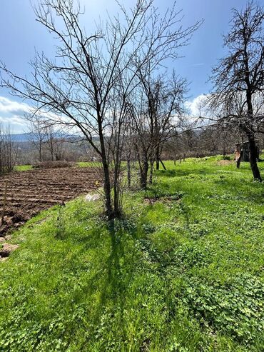Torpaq sahələrinin satışı: 20 sot, Kənd təsərrüfatı, Mülkiyyətçi, Kupça (Çıxarış) — 9