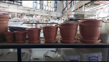 Digər gözəllik və sağlamlıq xidmətləri: Dibcek ucun hasar ceper gul ucun ceper hasar dibcekler ucun hasar -da lalafo.az — 23 Digər gözəllik və sağlamlıq xidmətləri: Dibcek ucun hasar ceper gul ucun ceper hasar dibcekler ucun hasar — 23