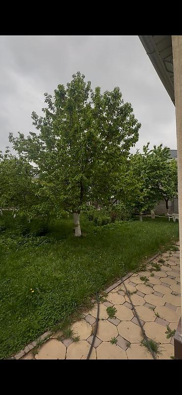 квартира бишкек частный дом: 180 м², 6 комнат, Арча-Бешик ж/м — 5