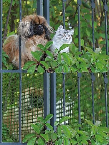 Другие товары для дома: Садовая пластиковая садовая решетка для дома и сада. Пластиковая — 6