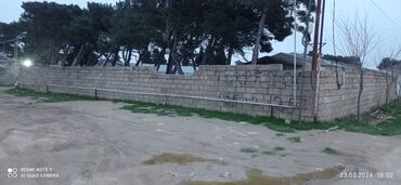 Tikinti