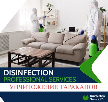 обработка квартиры от клопов: Дезинфекция, дезинсекция, | Тараканы, | Дома, Кафе, магазины, Квартиры