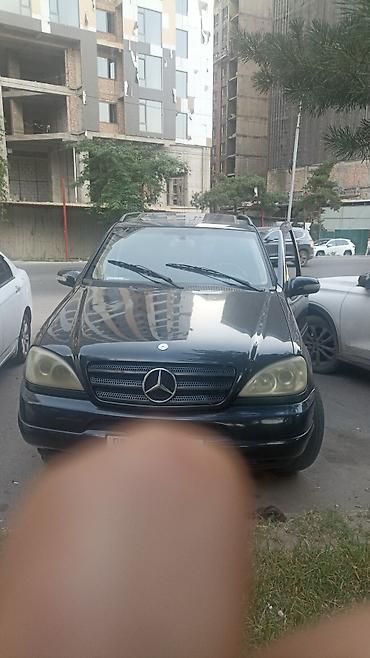 w163: Mercedes-Benz ML-Class: 2003 г., 3.2 л, Автомат, Бензин, Кроссовер — 1