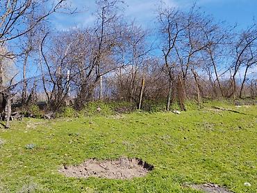 Torpaq sahələrinin satışı: 10 sot, Tikinti, Mülkiyyətçi, Müqavilə — 3