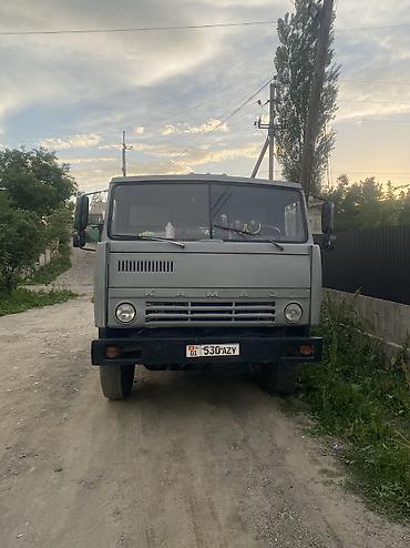 Грузовики: Грузовик, Камаз, Б/у — 11