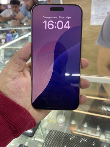 ipod.shuffle: IPhone 16 Pro Max, 256 ГБ, 95 %