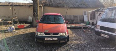 портер работа: Volkswagen Polo: 1999 г., 1.6 л, Автомат, Бензин, Хэтчбэк