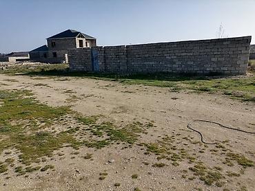 kend ehmedli: Tikinti, Mülkiyyətçi, Kupça (Çıxarış) — 6