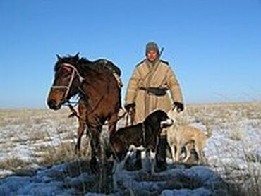 пастух ферма кашар: Требуется Пастух