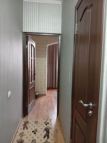 Долгосрочная аренда квартир: 1 комната, Без подселения — 2