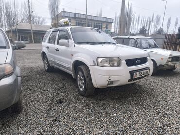 Ford: Ford Escape: 2004 г., 2 л, Автомат, Бензин, Внедорожник