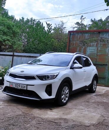 Kia: Kia Stonic: 2019 г., 1.4 л, Автомат, Бензин, Кроссовер — 9